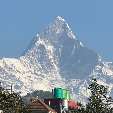 New Pokhara Lodge - Pokhara Lakeside Dış mekan fotoğraf