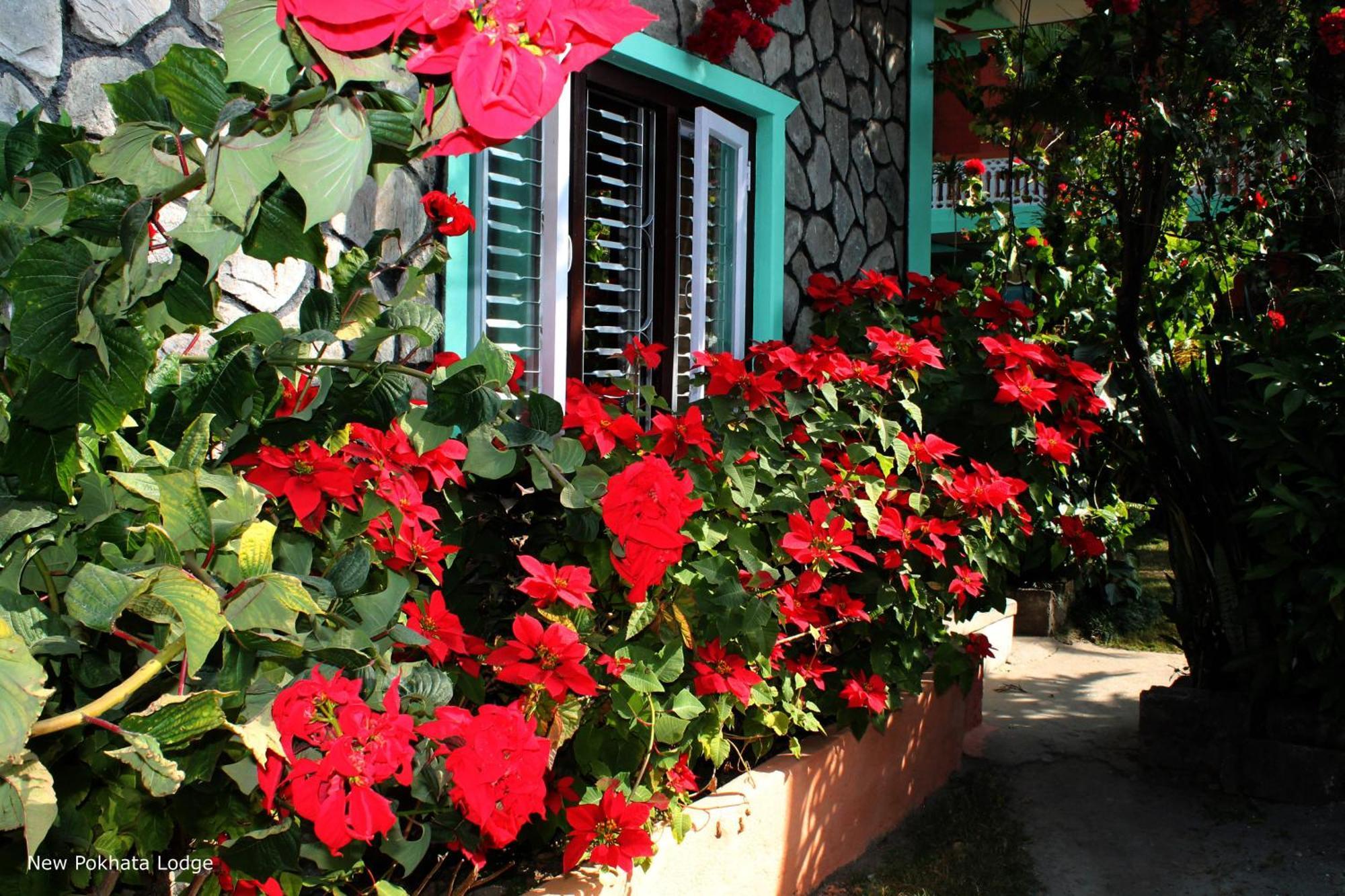 New Pokhara Lodge - Pokhara Lakeside Dış mekan fotoğraf